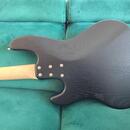 Sandberg California bass the world 