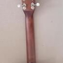 Art & Lutherie Roadhouse Light Burst GT EQ