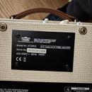 VOX AC30 H2