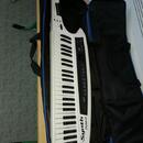 Roland AX