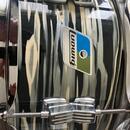 nálepka ludwig blue olive