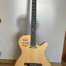 Godin multiac spectrum sa