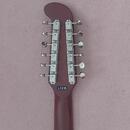 Fender Villager 12 WN JTB