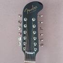 Fender Villager 12 WN JTB