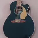 Fender Villager 12 WN JTB