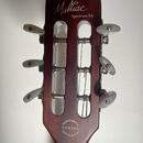 Godin multiac spectrum sa