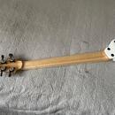 PK Guitars custom "V"- čko