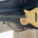 Godin multiac spectrum sa