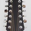 Aria LW15T-B, 12 strunná, made in japan