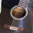 Aria LW15T-B, 12 strunná, made in japan