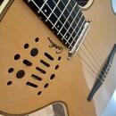 Godin multiac spectrum sa