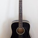 Aria LW15T-B, 12 strunná, made in japan