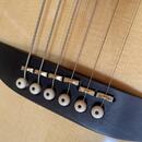 Godin multiac spectrum sa