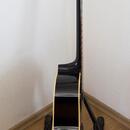 Aria LW15T-B, 12 strunná, made in japan