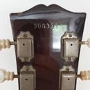 TOKAI Les Paul Reborn LS-50 Gold Top 1979