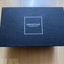 Hamstead Odyssey 