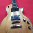 Prod&aacute;m Les Paul B&Ch - sleva !!