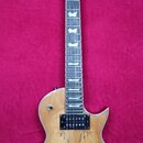 Prodám Les Paul B&Ch - sleva !!