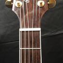 Takamine EF360SC  Japan  + original kufr r.v. 1997