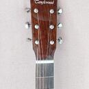 Tanglewood TW40 SD VS E