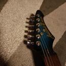 Aria Pro 2 ZZ Deluxe