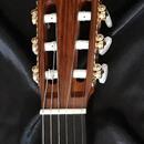 Koncertní mistrovská kytara Martin Fleeson model OPUS81 