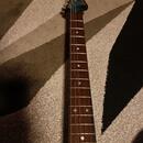 Aria Pro 2 ZZ Deluxe