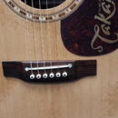 Takamine EF360SC  Japan  + original kufr r.v. 1997