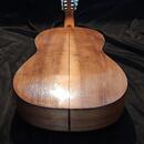 Koncertní mistrovská kytara Martin Fleeson model OPUS81 