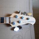 Lakland Skyline Darryl Jones 5 MN NT
