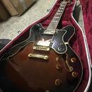 Epiphone a Hagstrom k dispozi
