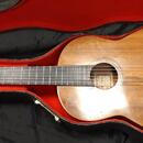 Koncertní mistrovská kytara Martin Fleeson model OPUS81 