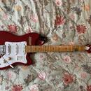 Pickguard na kytary Jolana, Grazioso, Futoráma,  nebo jiné ?