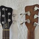Warwick Corwette 5 Standard 2003 