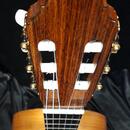 Koncertní mistrovská kytara Martin Fleeson model OPUS81 