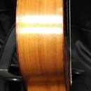Koncertní mistrovská kytara Martin Fleeson model OPUS81 