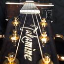 Takamine EF360SC  Japan  + original kufr r.v. 1997