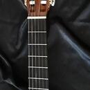 Koncertní mistrovská kytara Martin Fleeson model OPUS81 