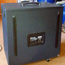 BASOVÝ BOX AMPEG PF115HE