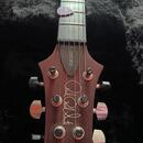 PRS USA Custom 24 Orange Tiger 