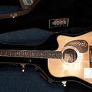 Takamine EF360SC  Japan  + original kufr r.v. 1997