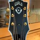 Guild D-55E NAT USA