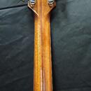 Takamine EF360SC  Japan  + original kufr r.v. 1997