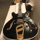Epiphone a Hagstrom k dispozi