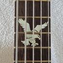 Warwick Corwette 5 Standard 2003 