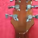Prod&aacute;m Les Paul B&Ch - sleva !!
