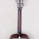 Tanglewood TW40 SD VS E