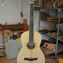 Kytara parlor Poul Guitars - možná výměna 