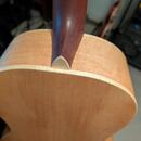 Kytara parlor Poul Guitars - možná výměna 