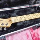 Fender Telecaster  1.majitel